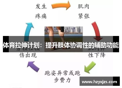 体育拉伸计划：提升肢体协调性的辅助功能
